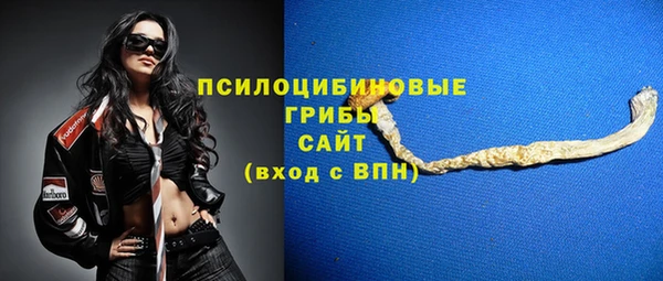 амф Нефтекумск