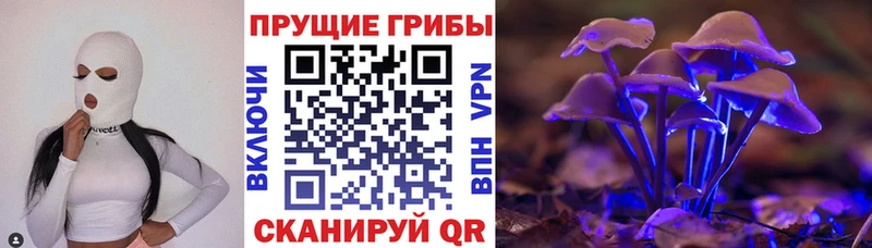 MEGA ТОР  Кирс  Галлюциногенные грибы Magic Shrooms 